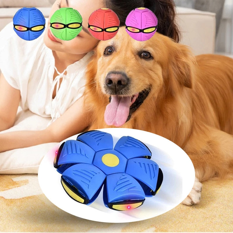 Pet Toy Flying Saucer Ball Magic Dog Toy Balls Children' Toys for Kids  Outdoor